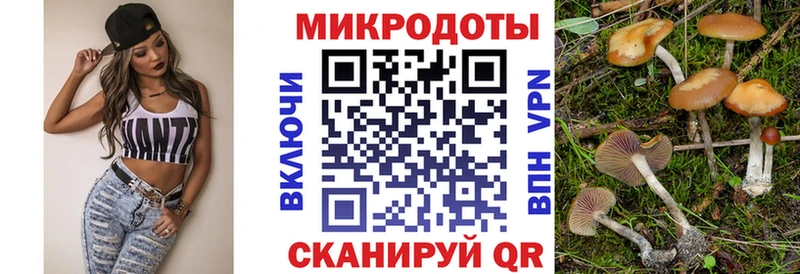 Псилоцибиновые грибы мицелий  mega ссылка  Заинск 