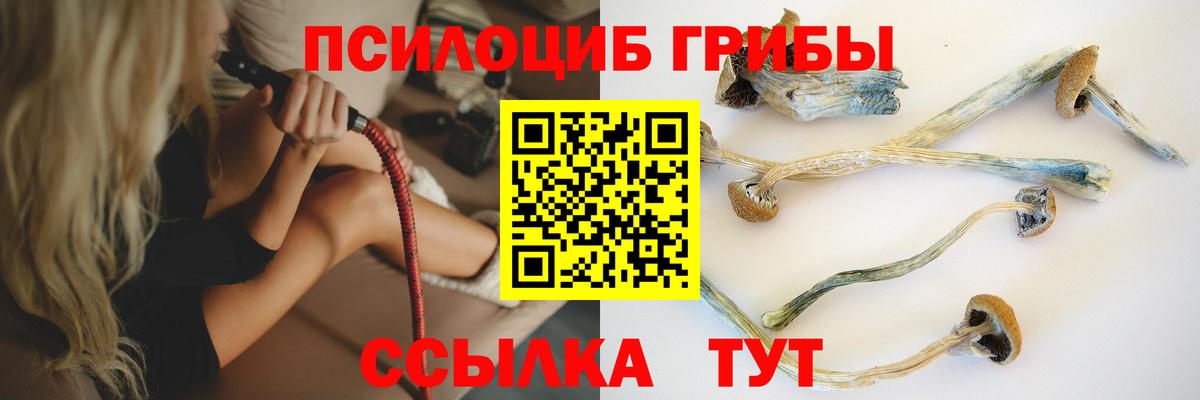 Заинск  Псилоцибиновые грибы Psilocybine cubensis  Вход с VPN 